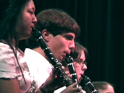 Instrumental music is one of the ten components of Area I.